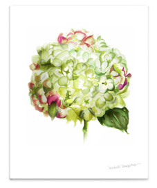 8x10-fall-hydrangea-flower-wall-art-print-thumbnail