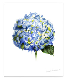 8x10-hydrangea-flower-wall-art-print-thumbnail