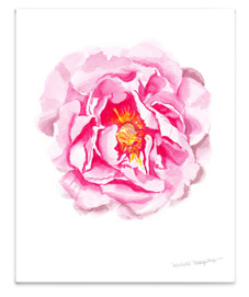 8x10-peony-flower-wall-art-print-thumbnail