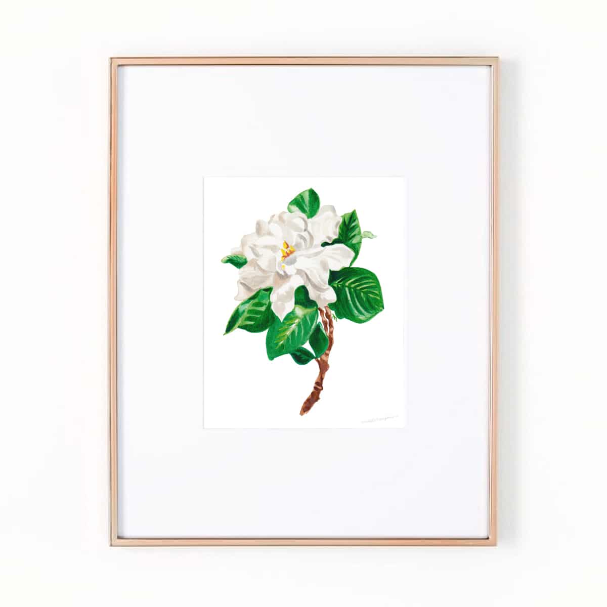 Gardenia flower botanical watercolor painting art print by artist ...