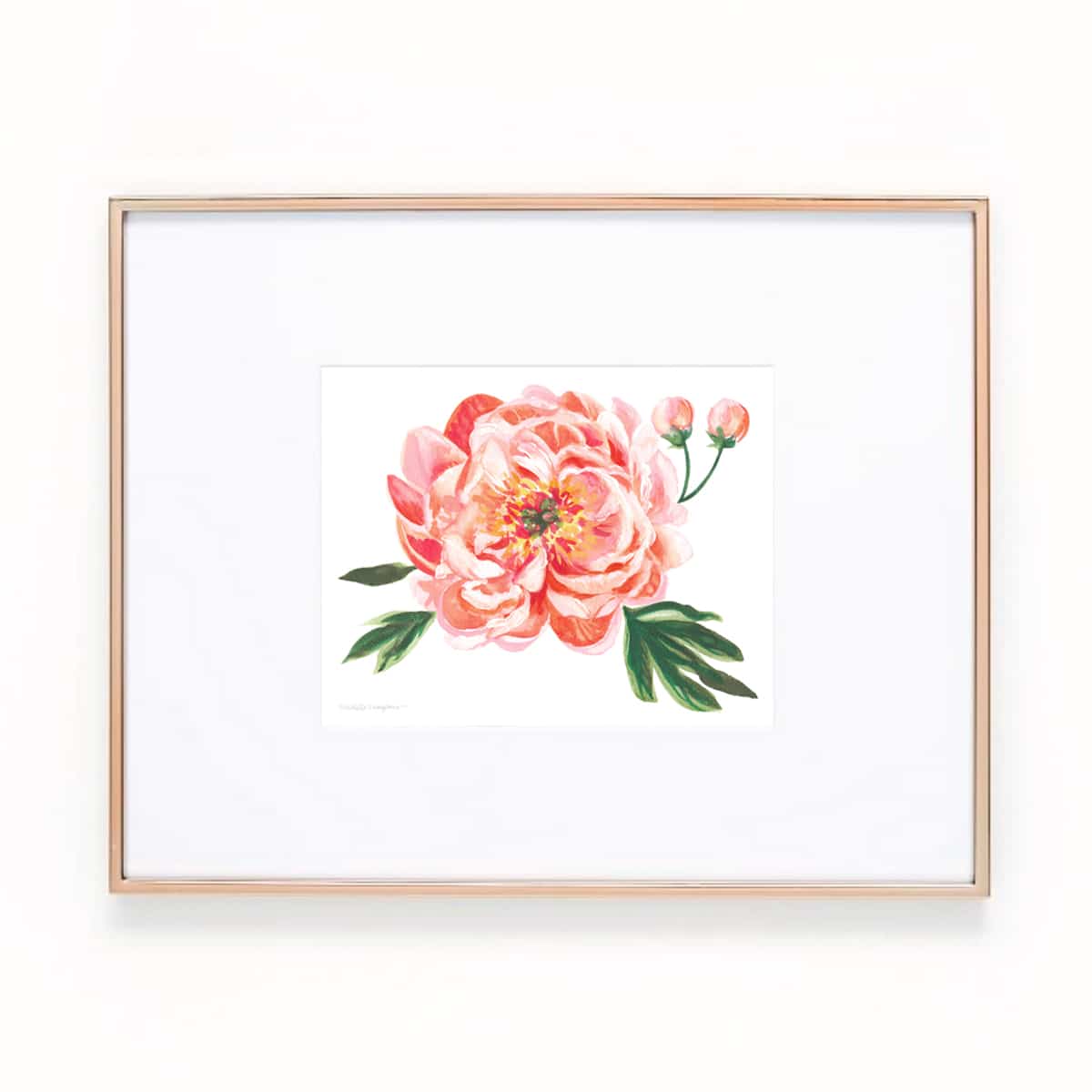 Peach peony flower botanical watercolor painting art print by artist Michelle Mospens. | Mospens Studio