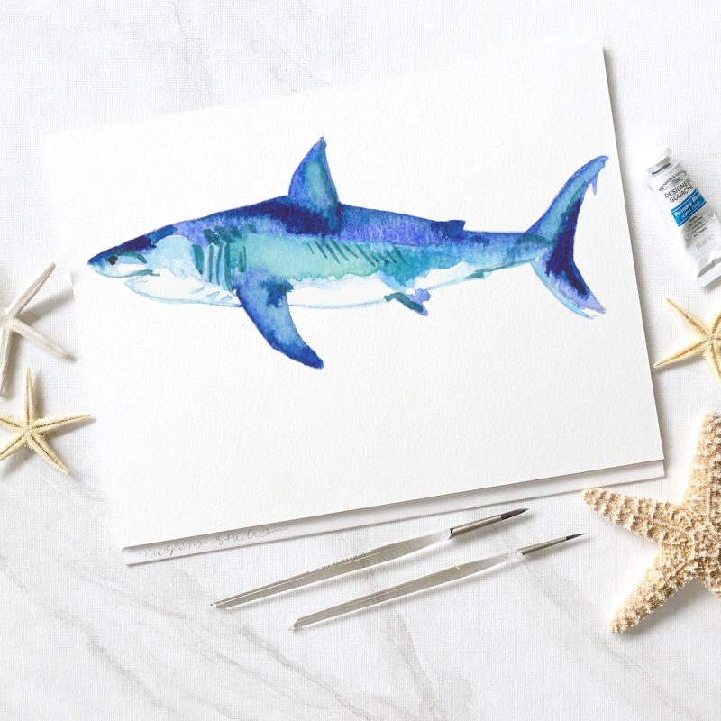 Watercolor shark by artist Michelle Mospens. | Mospens Studio