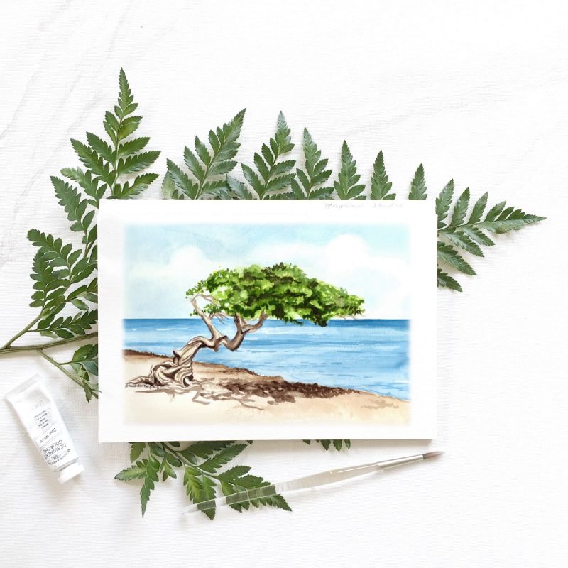 Hand painted aruba divi tree by artist Michelle Mospens. Mospens Studio