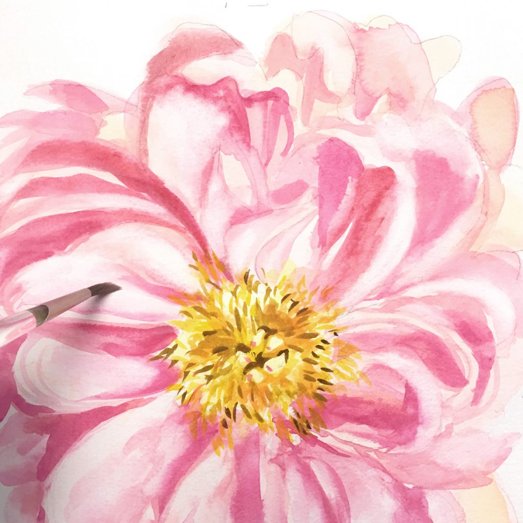 Hand-painted peony flower by artist Michelle Mospens. - Mospens Studio