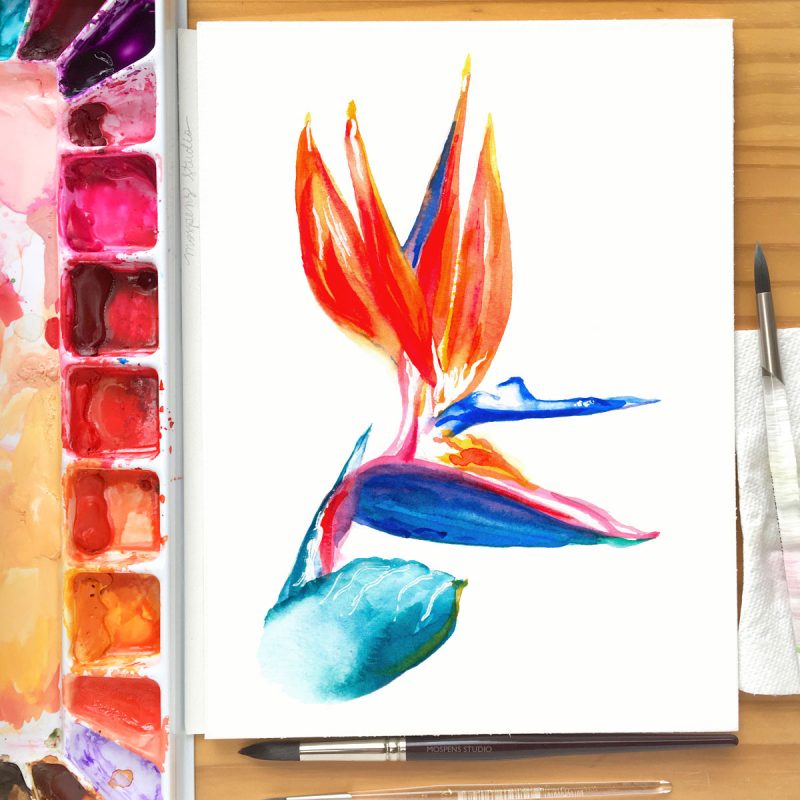 Hand painted bird of paradise for a tropical wedding. MospensStudio.com