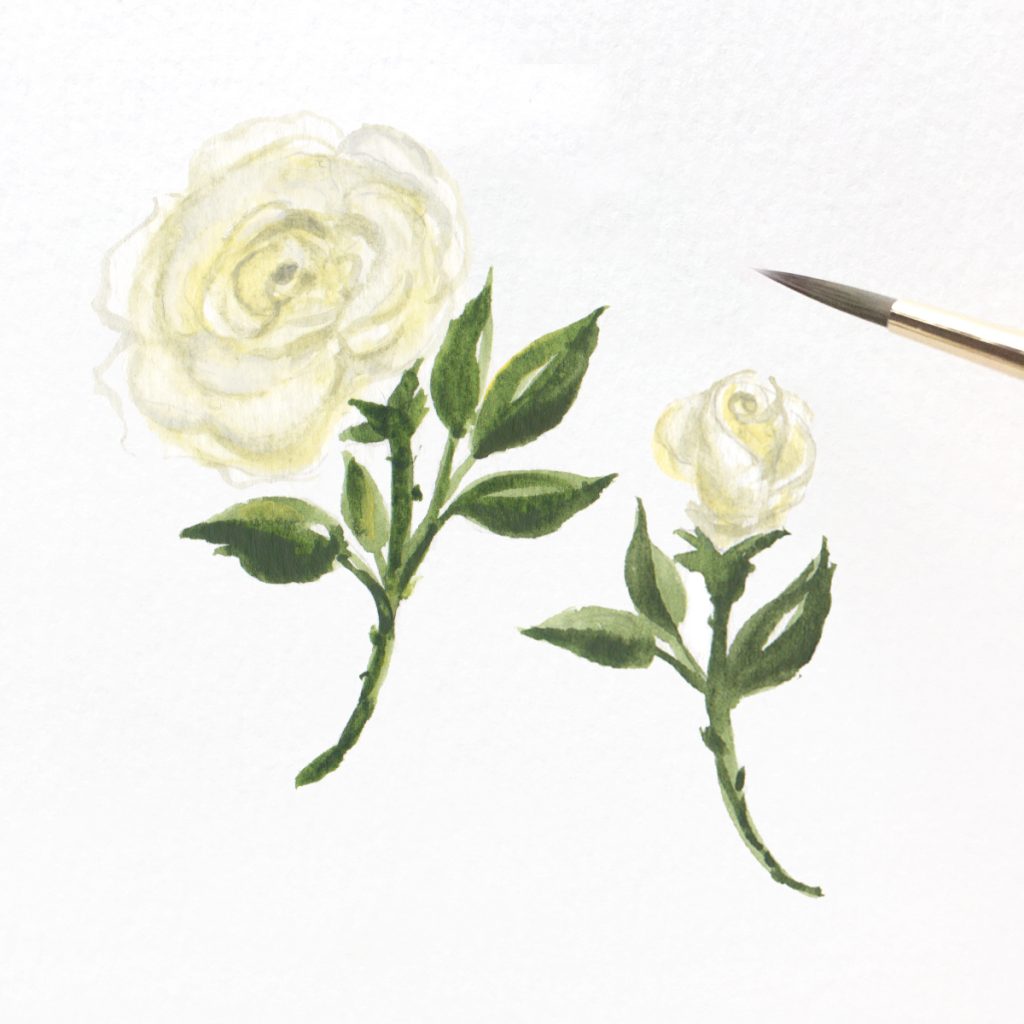 Hand painted white mini roses for a fall wedding. MospensStudio.com