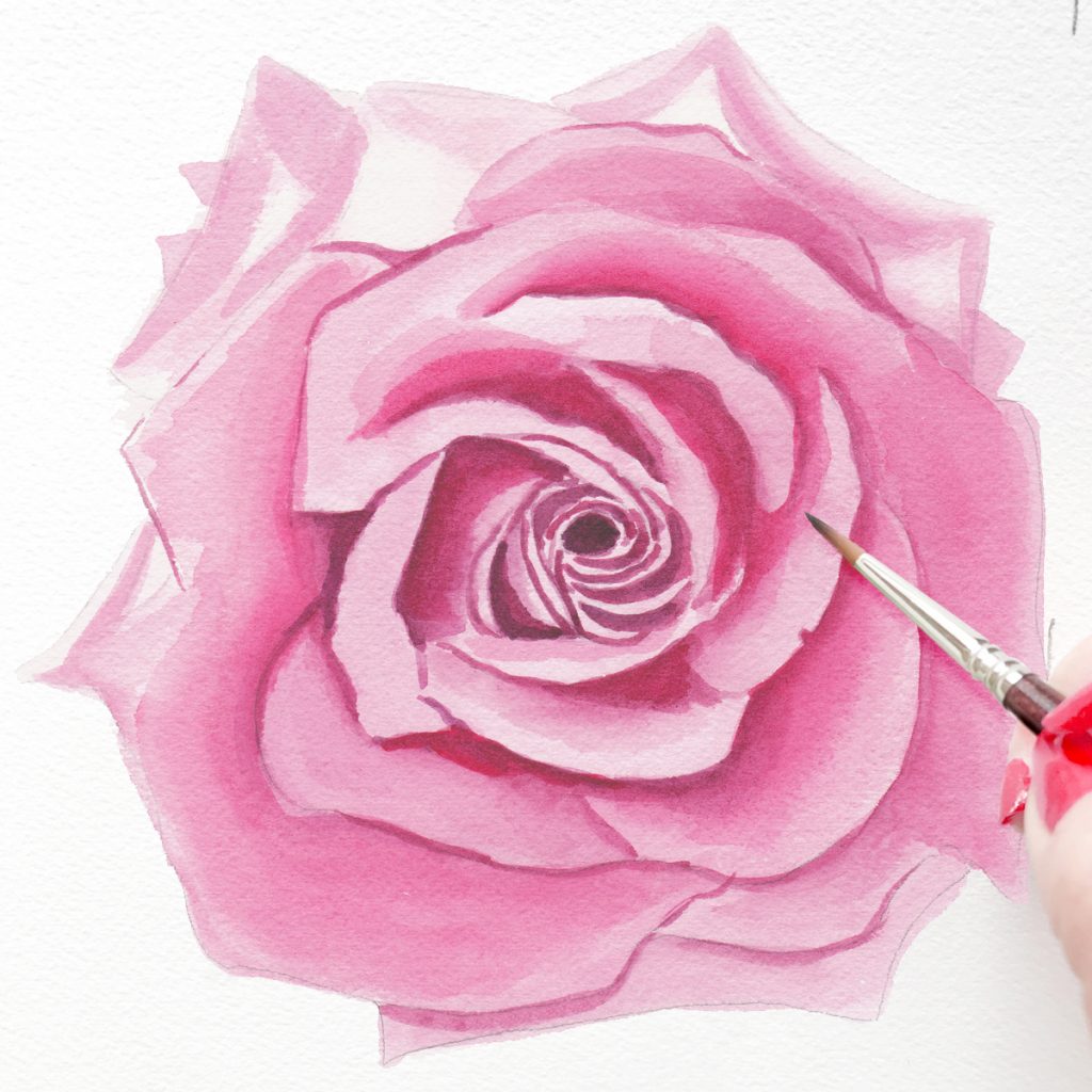 Hand painted pink mauve rose for a wedding. MospensStudio.com