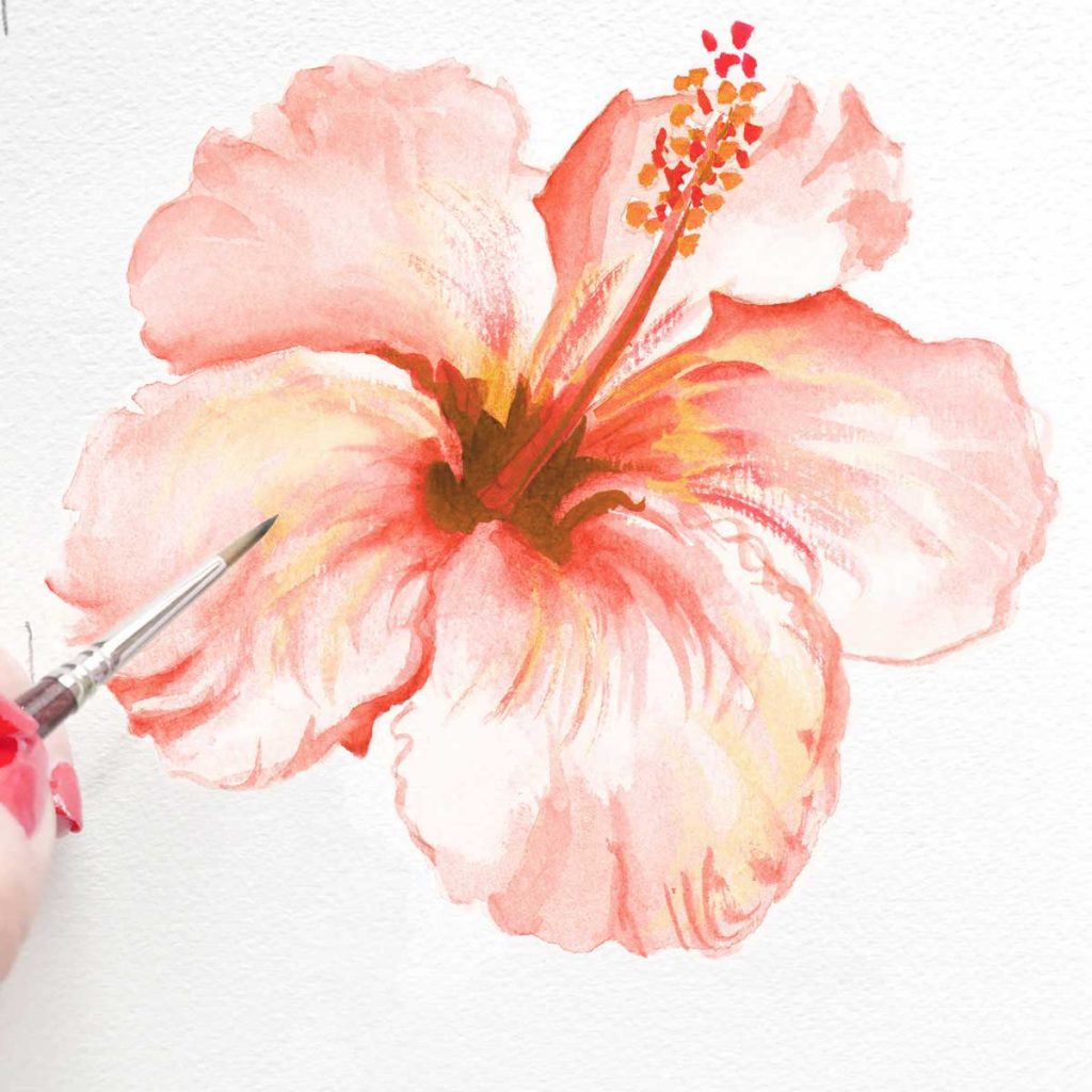 Hand painted peach hibiscus flower by Michelle Mospens. - Mospens Studio