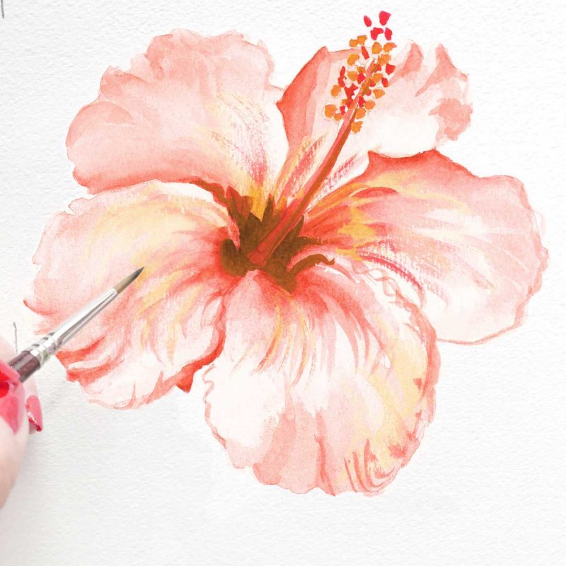 Hand painted peach hibiscus flower by Michelle Mospens. - Mospens Studio