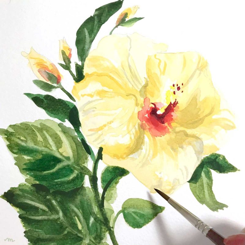 Hand-painted hibiscus beach blossom for a beach wedding. Original watercolor by Michelle Mospens. Mospens Studio